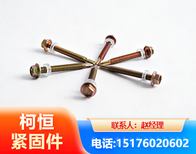 泉州六角钻尾丝
